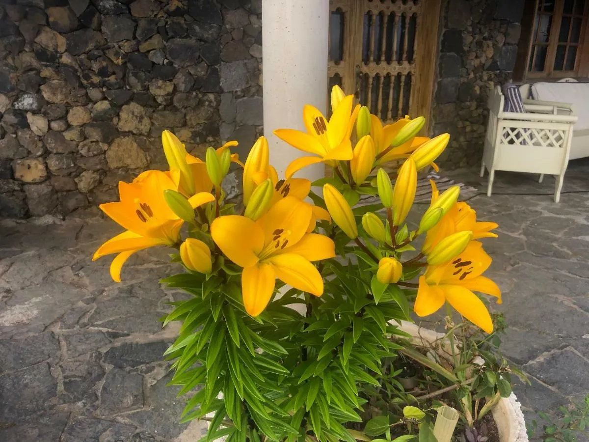 Ecolodge Tenerife Genovés
